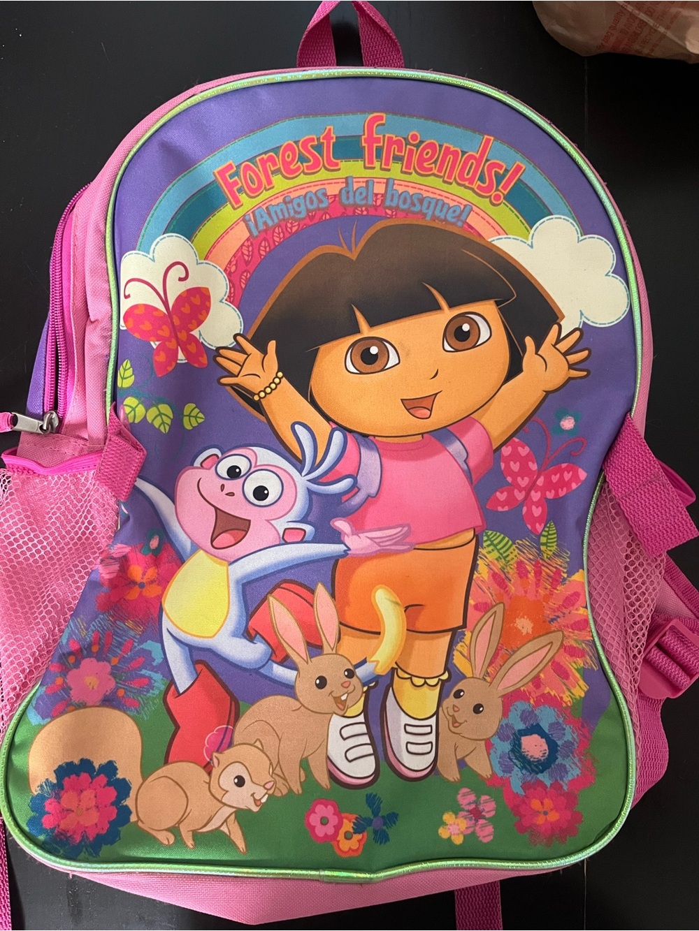 Dora the explorer Pink & Purple Kids Backpack